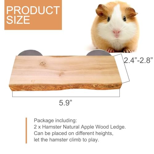 2Pcs Hamster Ledges Wooden Platform 2.6 x 6 Inch Rat Climb Platform Shelf Bird Perch Stand Toys Cage Accessories for Rat Gerbil Suger Glider - size: 6 × 2.6''