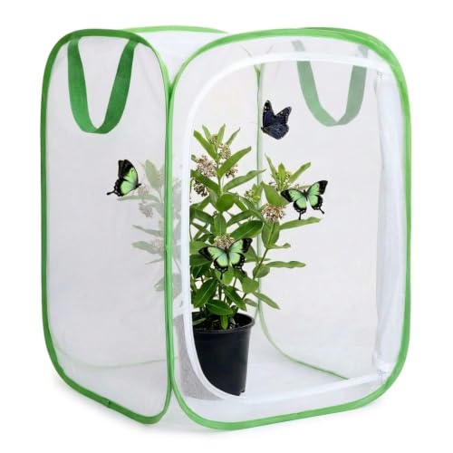 Insect & Butterfly Habitat Cage, Portable Pop-Up Terrarium with Mesh Sides, Bug Catching & Observation Enclosure for Caterpillars, Small Insects, Outdoor & Classroom Use, 16 Inches Tall - color: White/Green, size: 16 × 16 × 16 inches
