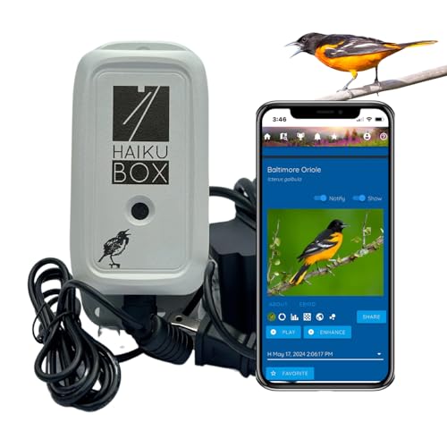 Bird Song & Call Identifier: 24/7 backyard sound identification | Better than a camera, uses sound to ID resident & migrating hummingbirds, warblers, hawks, owls, orioles, woodpeckers & more!