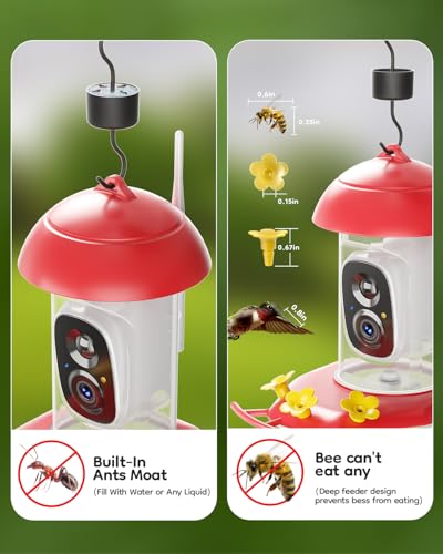 Solar Hummingbird Feeder with Camera, 2K Live Video Smart AI | 2K live video smart bird camera, AI species identification, Ant & bee proof, 3 feeding ports, Ideal gift for bird lovers