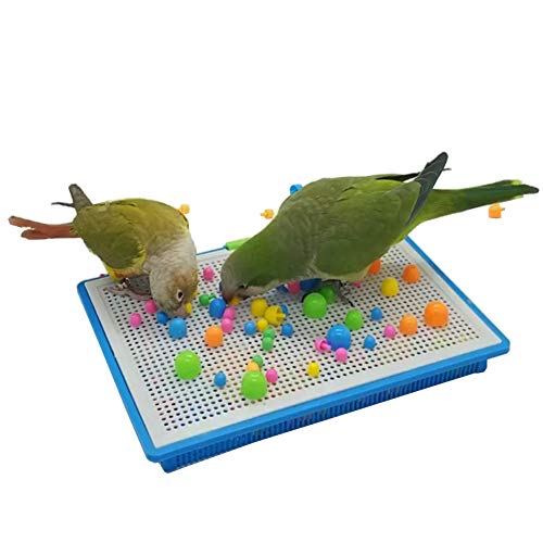 QBLEEV Parrot Puzzle Toys - Bird Intelligence Training, Parakeet & Conure Cage Accessories, Cockatiel Foraging & Chewing Toys - size: Large