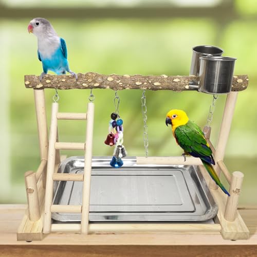PINVNBY Bird Playground Parrot Playstand Birds Play Stand Wood Exercise Perch Gym Stand Playpen Ladder with Feeder Cups Hanging Swing Toys for Parakeet Conure Cockatiel Budgie Cage Accessories - size: One Floor With Ladder