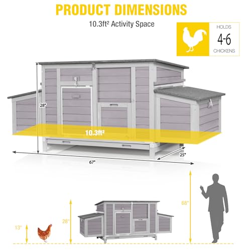 Aivituvin Large Chicken Coop for 4-6 Chickens, Reinforced Outdoor Wooden Hen House with 4 Sectionable Nesting Box, Easy Clean Pull-Out Tray, Waterproof Asphalt Roof - Grey, 67.3"L x 25.4"W x 28.1"H - size: 67.3"L x 25.4"W x 28.1"H
