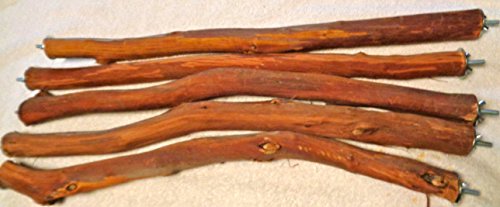 Manzanita Perches Set of Two 24" Two Feet Long