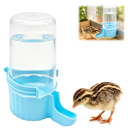 Quail Chick Waterer, Large Capacity Quail Water Feeder for Chick, Duckling, Parrot, Hamster, Hanging or Free-Standing