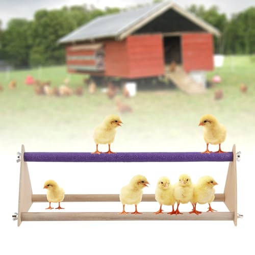 HOZEON 2PCS Wooden Chicken Roosting Bars, Purple Chick Perch Stand for Training, Roosting Bar Perch for Parrot and Birds
