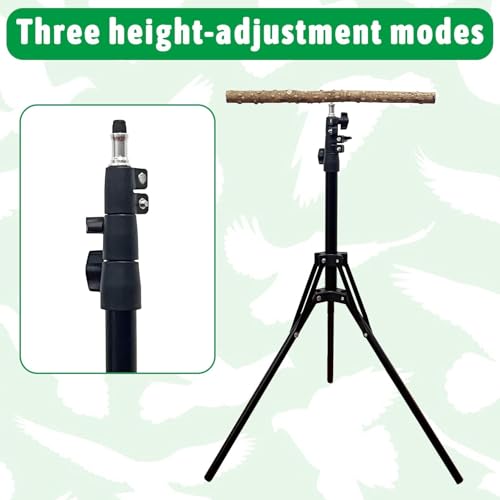 kathson 28-60inches Height Adjustable Bird Perch, Pepperwood Parrot Perch Stand, Multi-Purpose Bird Perches for Indoor and Outdoor Use, Designed for Small Medium Birds - size: Bird Perch Only (1 Piece)