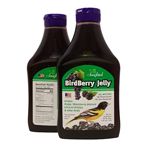 Songbird Essentials Bird Berry Jelly 20 Oz