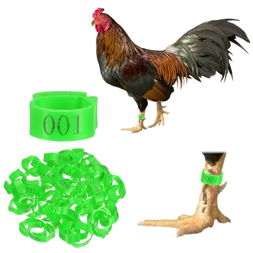 M METERXITY 50-Pack Adjustable Chickens Leg Bands, 17-22 mm Plastic Poultry Identification Chicken Leg Rings for Turkey/Duck/Goose/Chicks, Colorful Numbered Foot Clip on Tags [Green] - color: Green