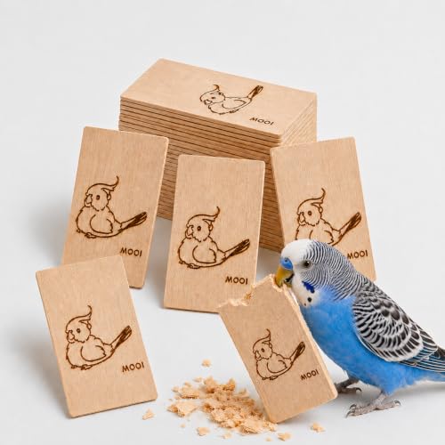 16 Pack Pine Wood Bird Chew Toys, Wood Slices for Active Chewers | Natural wood chew slices for parakeets, cockatiels, conures and lovebirds; each slice measures 3.9 x 2.1 in. - style: 16 Large Slices