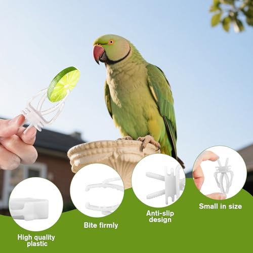 6 Pack Bird Cage Food Holder Bird Cage Clips Parrot Fruit Vegetable Clips White Cages Feeder Clip for Cockatoo Cockatiel Budgie Parakeet Macaw Conure