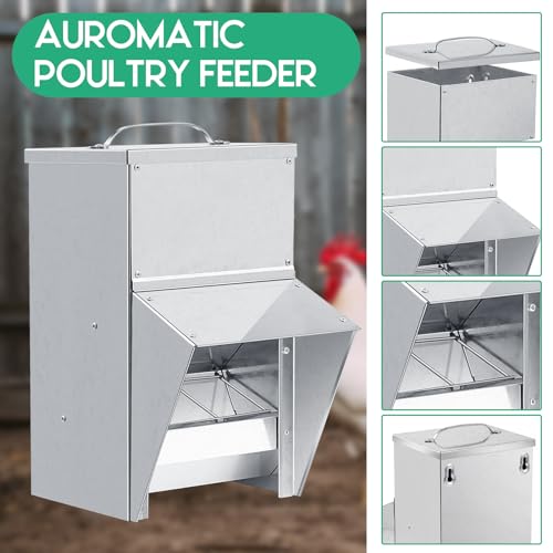 Uiifan 2 Pcs 11.5 lb Galvanized Chicken Feeder Weatherproof Poultry Metal Food Dispenser with Lid Chicken Duck Food Dispenser Rat Proof Feeder for Poultry Geese Quails Bantams Ducks and Turkey - size: 11.5 lb
