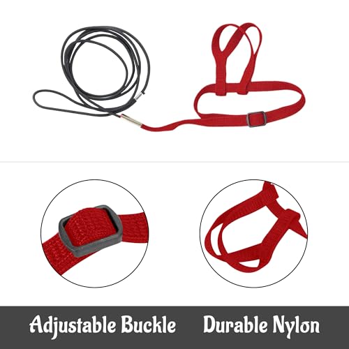 2 pcs Pet Parrot Bird Harness and Leash, Adjustable Training Design Anti-Bite, Outdoor Flying Training Rope Kit for Bird Parrots Fits Birds Chest Between46-76cm /18.11-29.92inch - XL (red) - color: red, size: XL