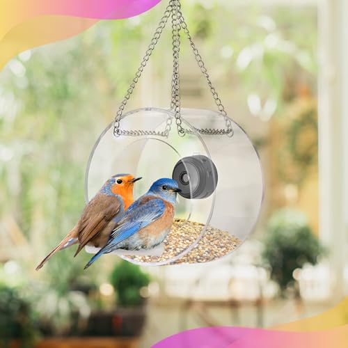 Bird Feeder with Camera Smart Backyard House Camera with Live View Instant Arrival Alerts Auto Capture Video Outside Wild Watching cam Gift for Bird Lovers