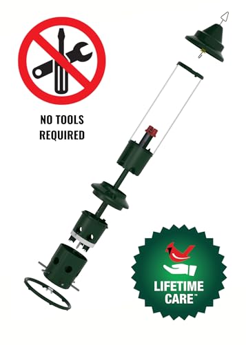 Squirrel Buster Plus Squirrel-proof Bird Feeder w/Cardinal Ring and 6 Feeding Ports, 5.1-pound Seed Capacity, Adjustable, Pole-mountable (POLE ADAPTOR SOLD SEPARATELY), Green | Cardinal ring, six ports, weight adjustment, pole-mountable, adapter sold sepa