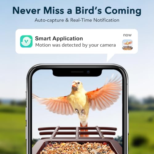 PeckCam® Bird Feeder with Camera Solar Powered 2K Live Video Auto Capture | AI Bird Species Identification, Instant App Alert, IP65 Waterproof, Easy Setup, Backyard Bird-Watching, Gift for Bird Lovers - color: Red