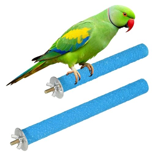 Bird Cage Perch, Colorful Parrot Grinding Claw Sticks, Platform Paw Stand Toy 6/8 Inch, (Wooden, Blue, 2Pcs), Intended for Small Medium Birds/Parrots/Finches/Lovebird - color: Blue, size: 6/8 Inch