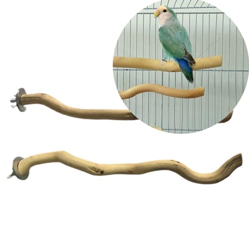 5 PCS Natural Parrot Perch Bird Stand Wooden Parrot Perch Stand Parakeet Climbing Standing Branches Toy for Small Lovebirds Budgies Cockatiels