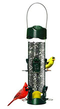 Brome Mega 600 Bird Feeder – Large Capacity Tube Feeder for Wild Birds, 6 Feeding Ports, 4 lb Seed Capacity, Easy to Clean, Metal Ports, Extendable Perches | Six metal ports, extendable perches, easy cleaning