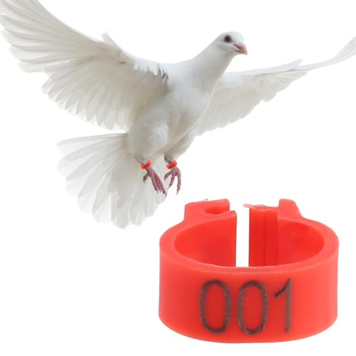 Chicken Leg Bands Duck Leg 100PCS Pigeon Bands Bird | 001 to 100 Numbered, Bird leg Bands, 8MM Diameter Pigeon Leg Ring, 5MM Height Reusable Marking Rings for Poultry (Red)