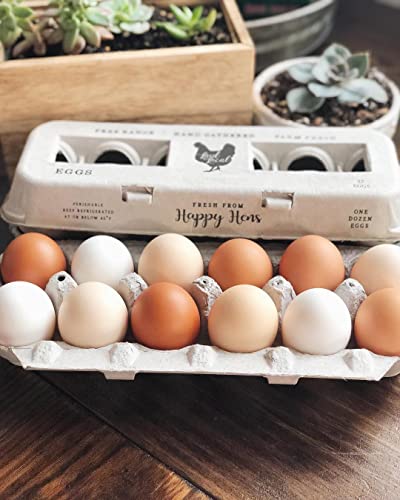 90 Egg Cartons- Adorable Printed Vintage Design for Farm Fresh Eggs, Recycled Paper Cardboard, Sturdy & Reusable, Carton Holds up to XL Chicken Eggs (90, Locally Laid Hen) - color: Locally Laid Hen, size: 90