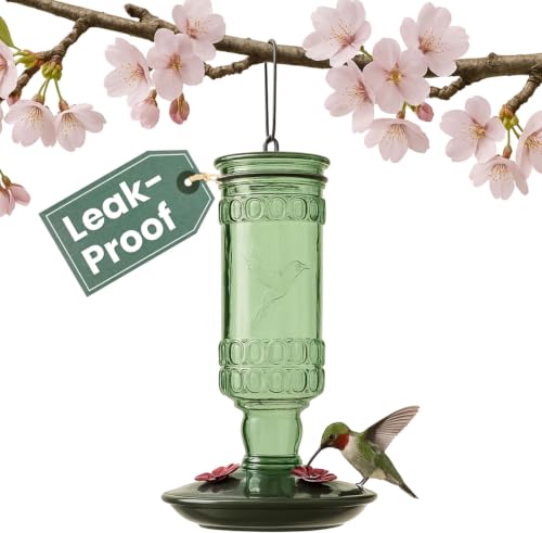 Perky-Pet Glass Bottle Hummingbird Feeder - Outdoor Garden Décor Humming Bird Feeder,8108-1SR - 10 Fl Oz Nectar Capacity - Durable Green Antique Design - Hang from Tree,Porch,Deck,Hook,(Pack of 6) - style: Green Bottle (Pack of 6)