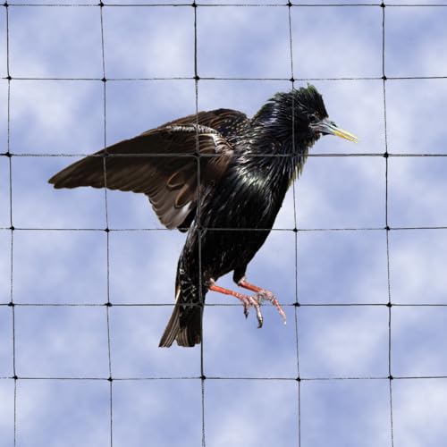 Bird B Gone Bird Net 2000 (Black) - (25' x 25') – 1-1/8" Mesh Heavy-Duty Bird Netting – Knotted Polyethylene Exclusion Net for Starlings, Pigeons and Larger Birds - size: 25x25