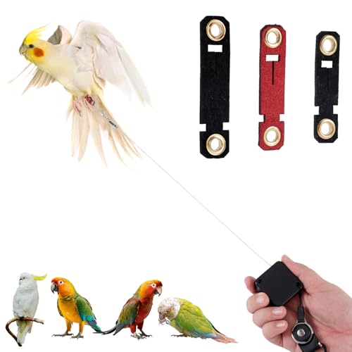 Retractable Bird Harness, 6.56ft Training Leash with 3 Sizes of Foot Rings - Parakeet & Parrot Leash Kit for Cockatiels, Budgies (Black) - color: Black