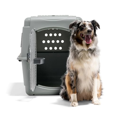 Petmate Sky Kennel - For Air and Travel, Airline Compliant Dog Crate for Pets 50-70 lbs, Heavy Duty Dog Kennel, Made in the USA- 36 Inches - size: 36 Inch
