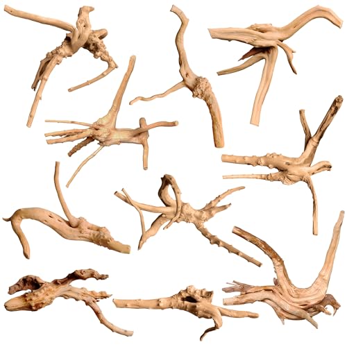 Natural Small Driftwood for Aquarium Decor Fish Tank Decor Reptile Decor | Assorted Driftwood Branch, Natural Driftwood for Aquascaping and Reptile Decor - size: Spiderwood 2 to 4.5 Inch(Pack of 10)