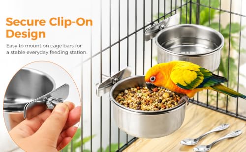 2 Pack Stainless Steel Bird Feeding Bowls, Parrot Food Water Dishes with Clamp Holder, Bird Feeding Cups for Cockatiel Budgie Parakeet Conure and Small Animals, 2 Feeding Spoons Included