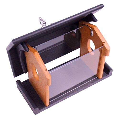 Bluebird Feeder - Poly Lumber - Hanging Blue Bird Feeder for Mealworms (Black and Cedar) - color: Black and Cedar