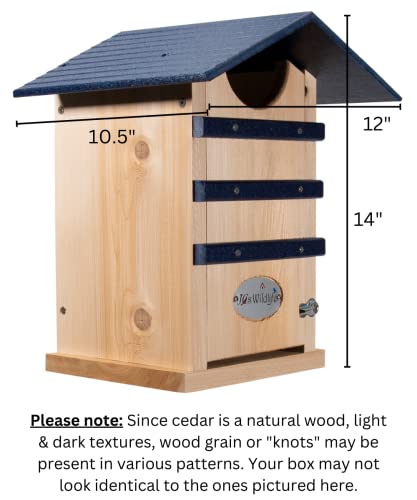 Screech Owl House Cedar Nesting Box with Poly Lumber Roof, Saw-Whet Owl Box for Outside, Drainage Ventilation, Easy Cleanout, Made in USA, Blue - color: Blue