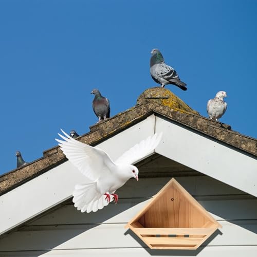 Cedar Mourning Dove Nesting Box, Wooden Dove Bird House for Outdoor | Pre-assemble 14 H x 10 W x 5.2 L Inches Bird Pigeon Doves Nesting and Roosting Platform Hanging Birdhouse Garden Decoration