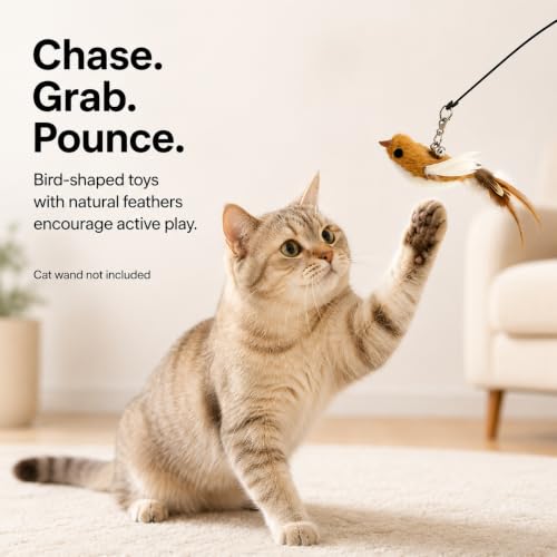11 PCS Multi-Functional Cat Toy Replacement Heads – Realistic Handmade Bird Teasers with Bells & Detachable Clip, for Interactive Play, Indoor Enrichment & Home Decoration - style: 11 PCS-B