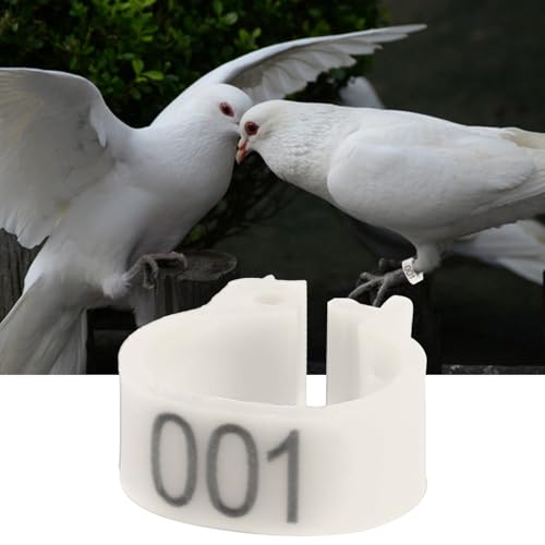 Bird Identification Leg Rings, Adjustable Chicken Leg Rings, Color Coded Legs Bands for Most Adult Pigeons Weighing Around 400 Grams(White) - color: White