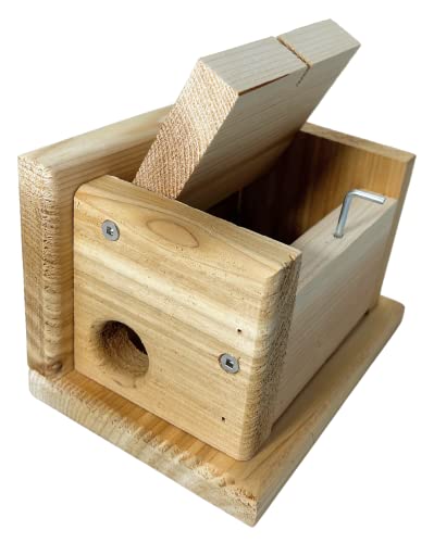 DutchCrafters Small Diamond Cedar Wood Wren Birdhouse, Outdoor Wooden Bird House, Hanging Mount Birdhouse for Outside - Amish Made in USA