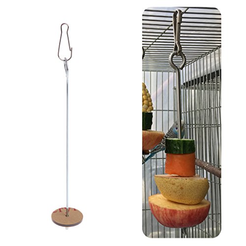 Bird Food Holder Parrot Foraging Toys For Hanging Stainless Steel Treat Veggie Skewer For Parakeets Conures Bird Feeders For The Garden Bird Feeders Stations With Stand Bird Feeder Hanging Bird