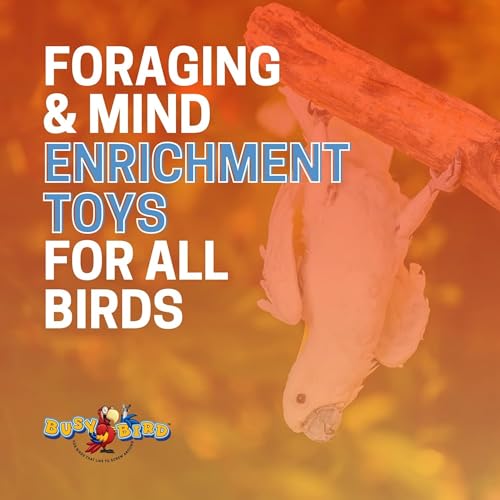 Bird Toys for Large Birds (Blue Spinner) Stainless Steel Bird Toy with Traveling Spinner | Macaw Toys | Durable Puzzle Enrichment Toy for Medium to Large Birds Cockatoos Parrot | Bird Cage Accessories - color: Spinner - Blue Flamed