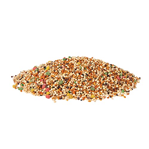 Wild Harvest Universal Blend for Small Birds, 10 lb Bag, Fortified Nutrition - size: 10 Pound (Pack of 1), style: Small Birds