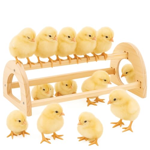 Chicken Roosting Perch Bar - Large Pine Wood with Mirror, Outdoor Use, Easy Installation