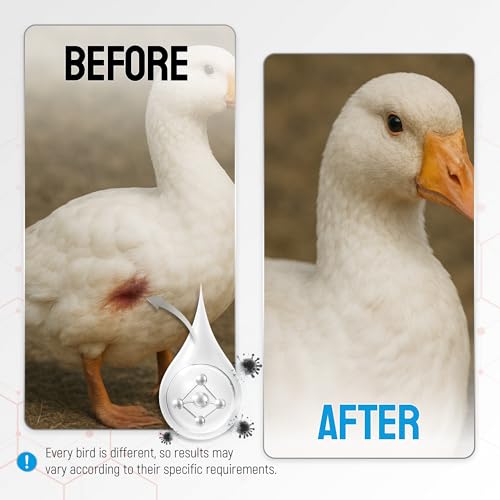 Wound Spray for Chicken – Birds & Chicken Antibiotics Alternative to Help with Pecking Sores, Bumblefoot, Cuts – Poultry Spray with Silver – GMOs Free – 4-Oz Bottle