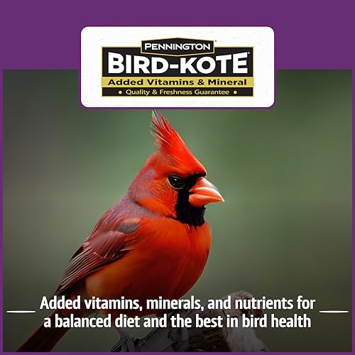 Pennington Songbird Nut & Fruit Blend Wild Bird Seed for Outside Feeders | Songbird bird seed for outside feeders, advanced nutrition formula with real fruit, nut & seeds, birdseed for wild birds