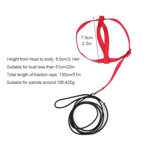 Parrot Harness Leash, Anti Bite Bird Training Leash Adjustable Parrot Flying Rope for Parrot Budgerigar Lovebird Cockatiel
