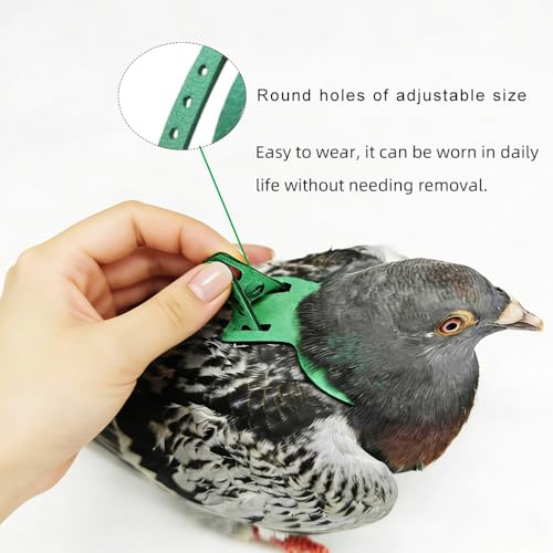Adjustable Bird Harness & Leash Set for Small Birds,FitsBudgie,Parakeets, Conures, Cockatiels,Green Cheek,Quaker Parrots(Green, S) 6350-7 - color: Green, size: S,for Green Cheek and similar size birds
