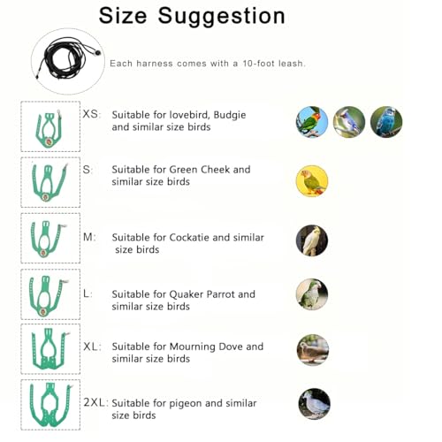 Adjustable Bird Harness & Leash Set for Small Birds,FitsBudgie,Parakeets, Conures, Cockatiels,Green Cheek,Quaker Parrots(Green, L) 6350-9 - color: Green, size: L,for Quaker Parrotand similar size birds