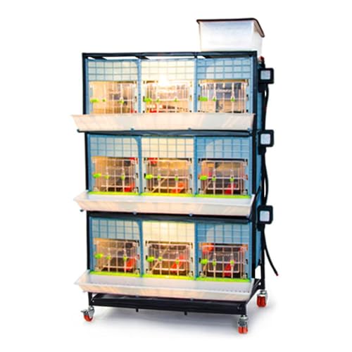 Hatching Time 15" Chick Brooders – Stackable & 2-Section Options, Automatic Heating, Easy-Clean Tray, Includes Feeders & Drinkers, Perfect for Quail, Chickens, Ducks & Baby Birds (3 Layer) - style: 3 Section, 3 Layer