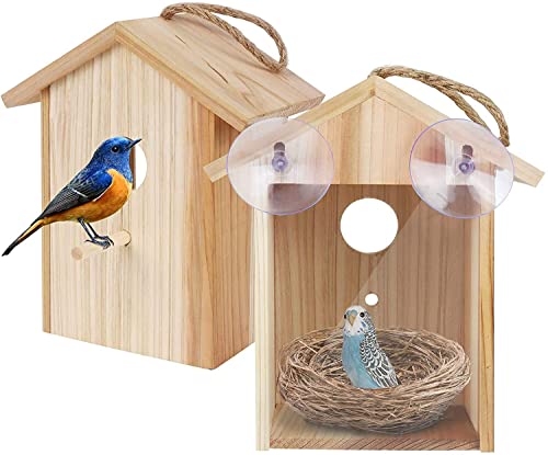 Window Bird House with Strong Suction Cup, See Through View Design | Upgraded wooden outdoor window nesting box, watch bluebird finch chickadee indoors, great viewing gift for kids