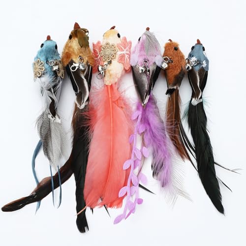 6 Pieces Cat Feather Toys Replacement Bird Cat Toy Wand Refills Cats Toy Replacement Natural Bird Feathers for Cats Toys - color: 6 Pcs Bird