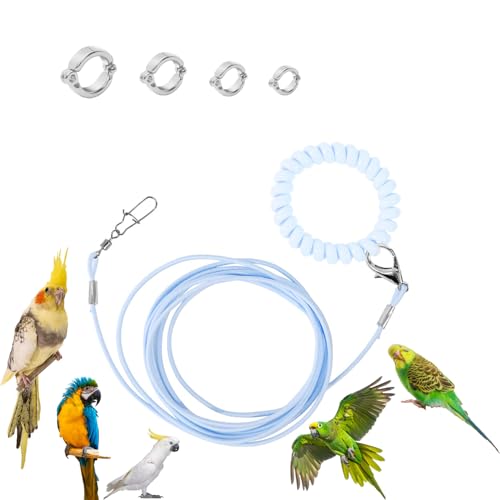 Parrot Flying Rope Lightweight Bird Harness Leash with Foot Ring Leg Band Elastic Bird Flying Leash Outdoor Training Traction Rope for Macaw African Greys Parakeet Cockatoo Sun Conure